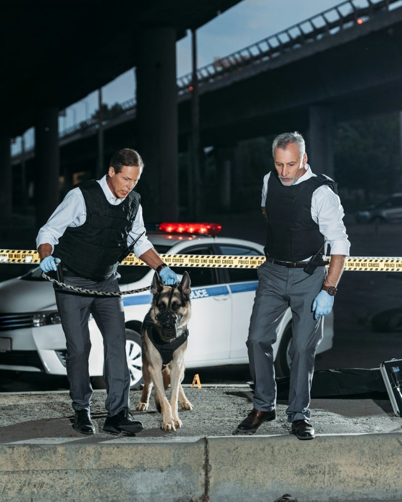police officers with german shepherd on leash near cross line at crime scene