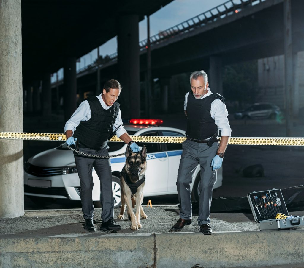 police officers with german shepherd on leash near cross line at crime scene